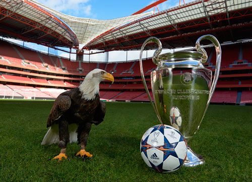 处于高水准 处于高水准