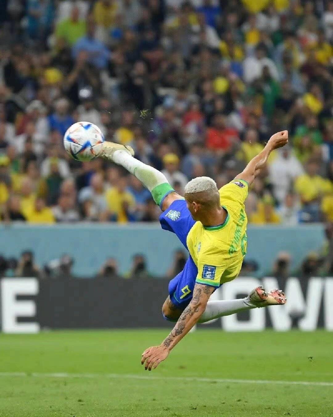 森林的重创 森林的重创