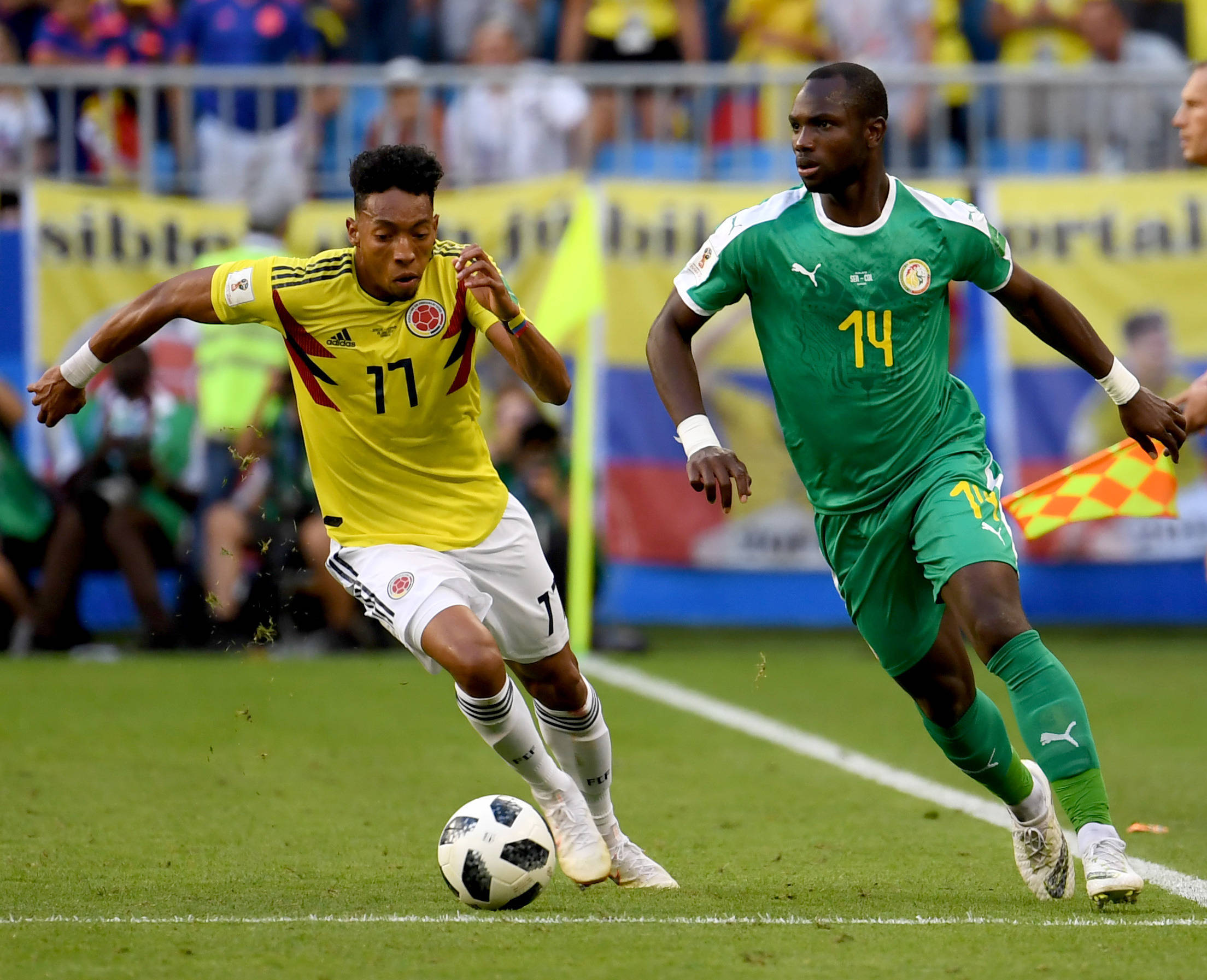 骗子如何下 骗子如何下